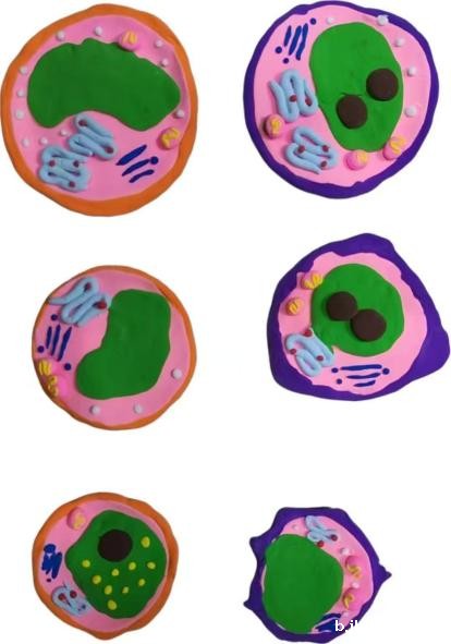 5c461026028ebcdb9c18438820eec27e_